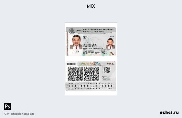 скачать цифровую версию шаблона выборов Instituto Nacional в Мексике